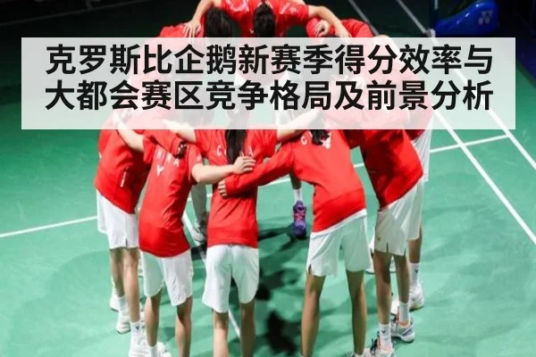克罗斯比企鹅新赛季得分效率与大都会赛区竞争格局及前景分析