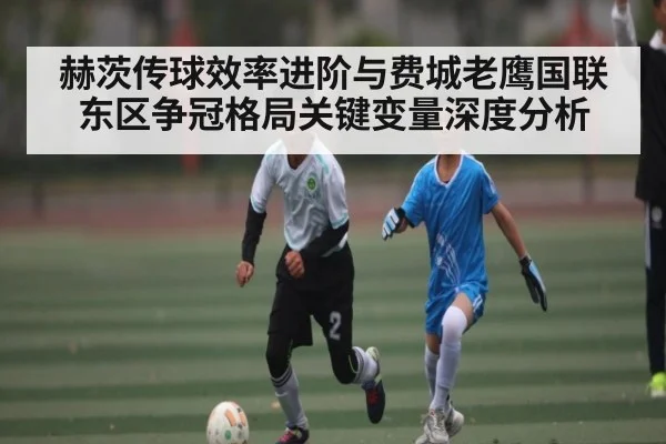 赫茨传球效率进阶与费城老鹰国联东区争冠格局关键变量深度分析